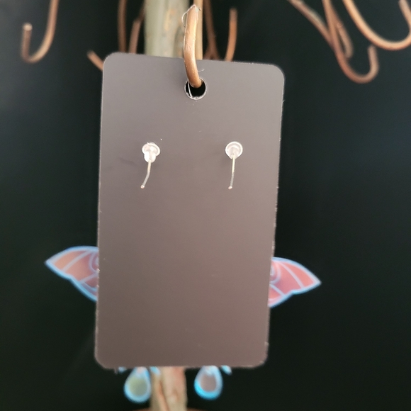 2/$20 Resin Iridescent Moon Moth Earrings - Picture 2 of 4